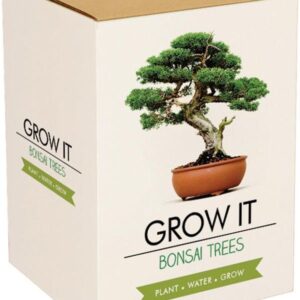 Gift Republic Zestaw do uprawy roślin Bonsai Trees GR200006