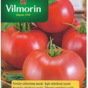 Pomidor Dafne F1 0