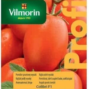 Pomidor Śliwkowy Colibri F1 Vilmorin