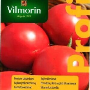 Pomidor Szklarniowy Belladona F1 8Szt Vilmorin