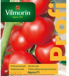 Vilmorin Pomidor Gruntowy Agora